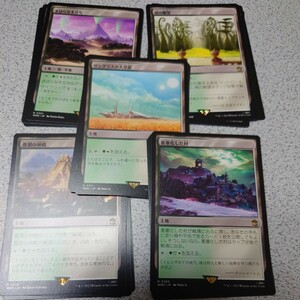 MTG WHO 基本でない土地 緑白 まとめ 日本語 各4枚 20枚セット ドクター・フー 統率者デッキ 即決