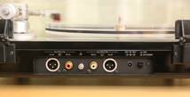 TEAC TN-5BB ベルトドライブ アナログターンテーブル XLR端子を標準装備_画像9