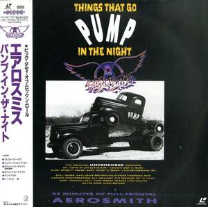 B00172746/LD/エアロスミス(AEROSMITH)「Pump In The Night 1990 (WPLP-9042)」