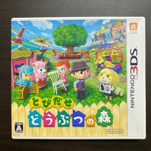 とびだせ　どうぶつの森　Ｎ 3DSソフト　任天堂
