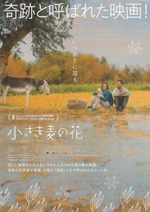 ・小さき麦の花　映画チラシ　ウー・レンリン/ハイ・チン　2023年2月　中国　フライヤー