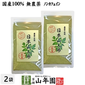 健康食品 国産無農薬100% 日本山人参 粉末 ヒュウガトウキ 50g×2袋セット パウダー宮崎県産ノンカフェイン 送料無料