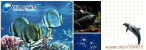 新江ノ島水族館 入館招待券 【23年12月31日まで】