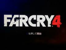 【即決&動作確認済】 ファークライ4（Farcry 4） / アクションアドベンチャー FPS オープンワールド / ヒマラヤ / PS4ソフト_画像4