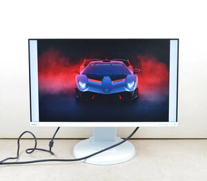 超狭額　NEC　21.5型ワイド　E221N　フルHD　ゲーミング　HDMI　IPSパネル　回転・従型表示　スピーカー　LED　ディスプレイ　①