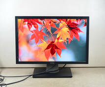 DELL　24型ワイド　U2410f　WUXGA 1920x1200　ゲーミング　HDMI/DP端子　回転・縦型表示　IPSパネル　ディスプレイ　①_画像1