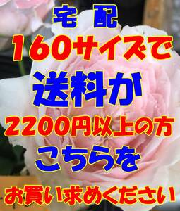 ヤフネコ宅急便　 E160　　宅配　160　サイズで送料が　2200円　以上の方はこちらをお求めください