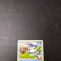 ポケモンカード　プロモ　ポッチャマ_画像2