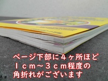 ポケットモンスター 完全版 赤緑青ピカチュウ 全色対応 任天堂公式ガイドブック ★1998年 初版/ GB ゲームボーイ POCKET MONSTERS /11_画像10