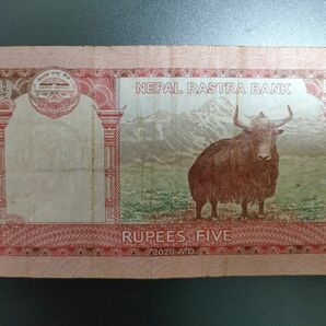 ネパールルピー紙幣