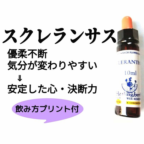 28.スクレランサス《10ml》バッチフラワーエッセンスヒーリングハーブス社