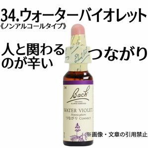 34.ウォーターバイオレット（10ml）グリセリンベースフラワーエッセンス　ノンアルコールフラワーエッセンスNelson社 