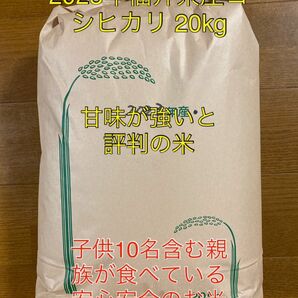 2023年度福井県産コシヒカリ　20kg 減農薬　上流の水を使用　農家のお米　有機栽培