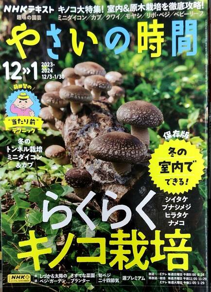 完全新品　NHK趣味の園芸やさいの時間 2023年 12 月号