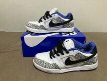 NIKE Paul Rodriguez 2 ZOOM AIR US9 ホワイトセメント_画像3