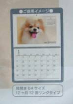 送料無料【 いぬ 壁掛けカレンダー 2024年 】 B4 12ヶ月12面 犬 イヌ dog 子犬 見開き 壁掛け カレンダー _画像3