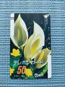 テレフォンカード テレカ NTT 尾瀬のミズバショウ 水芭蕉 福島県 新潟県 群馬県 栃木県 1985年6月 50度数 未使用 新品 昭和レア品 公衆電話