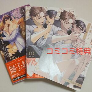 小説＆漫画セット★偏愛獅子と、蜜檻のオメガⅢ～運命の番は純血に翻弄される～伽野せり/ 北沢きょう　コミコミ特典