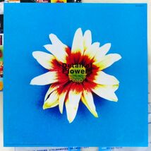 ○LD/レーザーディスク カシオペア(CASIOPEA)「ディテイル・オヴ・フラワーズ(Detail of Flowers」1996年 レコーディング テクニックを収録_画像4