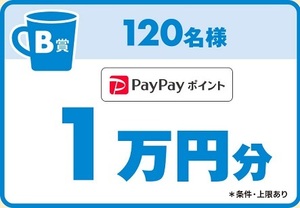 懸賞 応募券　( PayPayポイント　１万円分、他　　