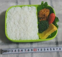 食品サンプル 　お弁当　お弁当箱　原寸大　鶏から揚げ　玉子焼き　ウィンナー　ブロッコリー　レタス　白米　見本展示品_画像5