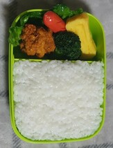 食品サンプル 　お弁当　お弁当箱　原寸大　鶏から揚げ　玉子焼き　ウィンナー　ブロッコリー　レタス　白米　見本展示品_画像1