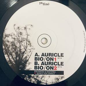 LP / Francesco Tristano - Auricle / Bio / On / '08 / Infine - iF1004_lp / Moritz von Oswald / Dubplates & Mastering / トリスターノの画像3