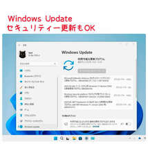 Windows11 最新Ver23H2 (64bit日本語版)11月1日リリース 低年式パソコン対応 アップグレード専用 DVD_画像3