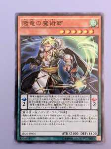 遊戯王 賤竜の魔術師 スーパーレア SD29-JP004まとめ買い歓迎 