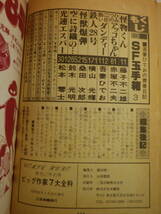 ビッグヒーロー第３号 ビッグ作家７大全科（大都社）藤子不二雄・松本零士・横山光輝・赤塚不二夫・吾妻ひでお・桑田次郎・鈴木光明_画像5