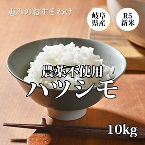 【R5年】農薬不使用ハツシモ　玄米　10kg　岐阜県産　美濃加茂市産