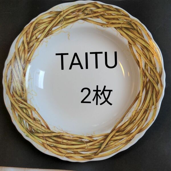 TAITU　パスタ　カレー　スープ　シチュー　　paglia　エミリオベルガミン　廃番　2枚