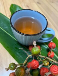 奄美大島の自然が育てた　無農薬　無堆肥　無除草剤　の　月桃　茶　ゲットウ　種入り茶葉　50g アロマティー　ポリフェノール　美肌