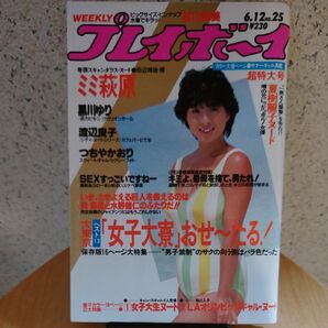 週刊プレイボーイ1984年6月12日号【レア物】