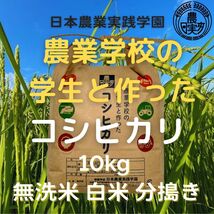 農業学校の学生と作った太陽の恵みいっぱいコシヒカリ　精米したて白米10kg　令和4年産新米_画像1