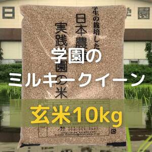 農業学校の学生と作ったミルキークイーン10kg玄米　令和5年産