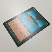 sB499o [人気] MTG 極楽鳥 Birds of Paradise 第4版 黒枠 4ED 日本語版_画像3