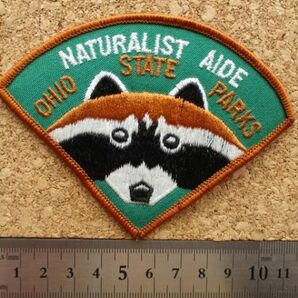 80s オハイオ州立 公園THE OHIO STATE PARKS NATURALIST AIDEワッペン/アライグマ自然DNRパーク動物VintageあらいぐまPATCH動物USA D19の画像8