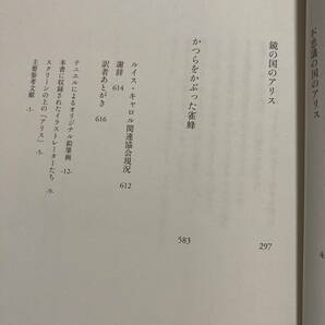 「初版/帯付き/スリップ付き」詳注アリス 完全決定版 マーティン・ガードナー 不思議の国のアリス・鏡の国 ルイス・キャロル  ②AMの画像10