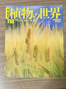 植物の世界 118 シバ　ヨシ　コムギ　週刊朝日百科　朝日新聞社
