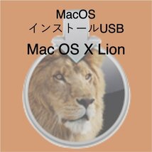 (v10.07) Mac OS X Lion インストール用USB [1]_画像1