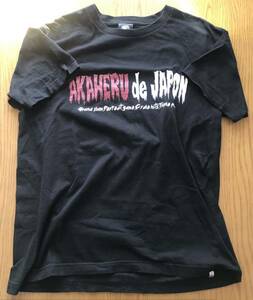 古着 内藤哲也 広島東洋カープ コラボ Tシャツ サイズM ロスインゴ 新日本プロレス カープ プロ野球 グッズ 衣類 広島カープ