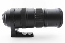 [Rank:B] SIGMA APO 150-500mm F5-6.3 DG OS HSM 手ブレ補正 超望遠 ズームレンズ / シグマ ニコン Nikon F 完動品 フルサイズ対応 #2040_画像7