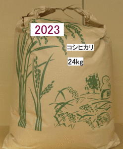 訳あり　農薬未使用 コシヒカリ 24kg No1 玄米