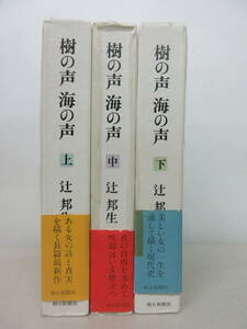 樹の声　海の声　上中下巻　3冊セット　辻邦生　朝日新聞社 棚は