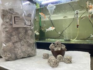 ろ材濾過材フィルター水質浄化高品質納豆菌パワーリング1kg当日発送