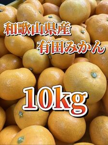 @158 格安 和歌山県産 有田みかん 10kg 産地直送 Sサイズ 早生みかん 小粒 小玉 みかん 採れたて 甘くて美味しい