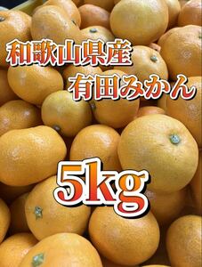 @240 格安 和歌山県産 有田みかん 5kg 産地直送 Sサイズ 早生みかん 小粒 小玉 みかん 甘くて美味しい