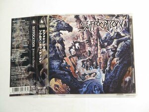 Suffocation - Souls To Deny 国内盤帯付