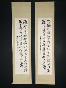 【模写】【一灯】vg4143〈藤沢南岳〉双幅 書 儒者 讃岐高松藩士 通天閣命名 香川の人